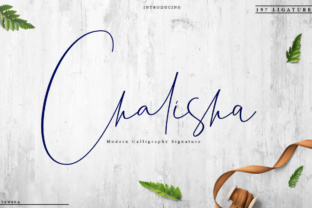 Chalisha Font: Elevating Campaign Visuals
