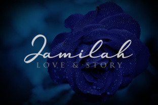 Jamilah: A Modern Script Font for Branding