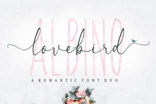 Lovebird: A Romantic Script Font for Editorial Design