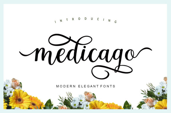 Medicago: A Modern Script Font for Digital Design