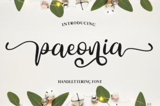 Paeonia: An Elegant Script Font for Editorial Design