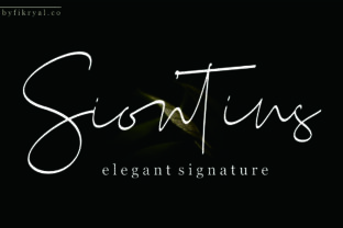 Siontins: A Chic Signature Font for Branding