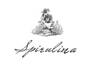 Spirulina Font: A Vintage Script for Digital Elegance