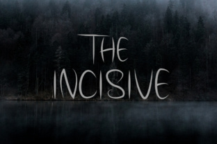 The Incisive Typeface for Editorial Design