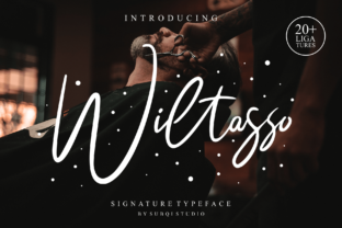 Wiltasso: A Designer’s Honest Take on Script Amp’s Latest Release